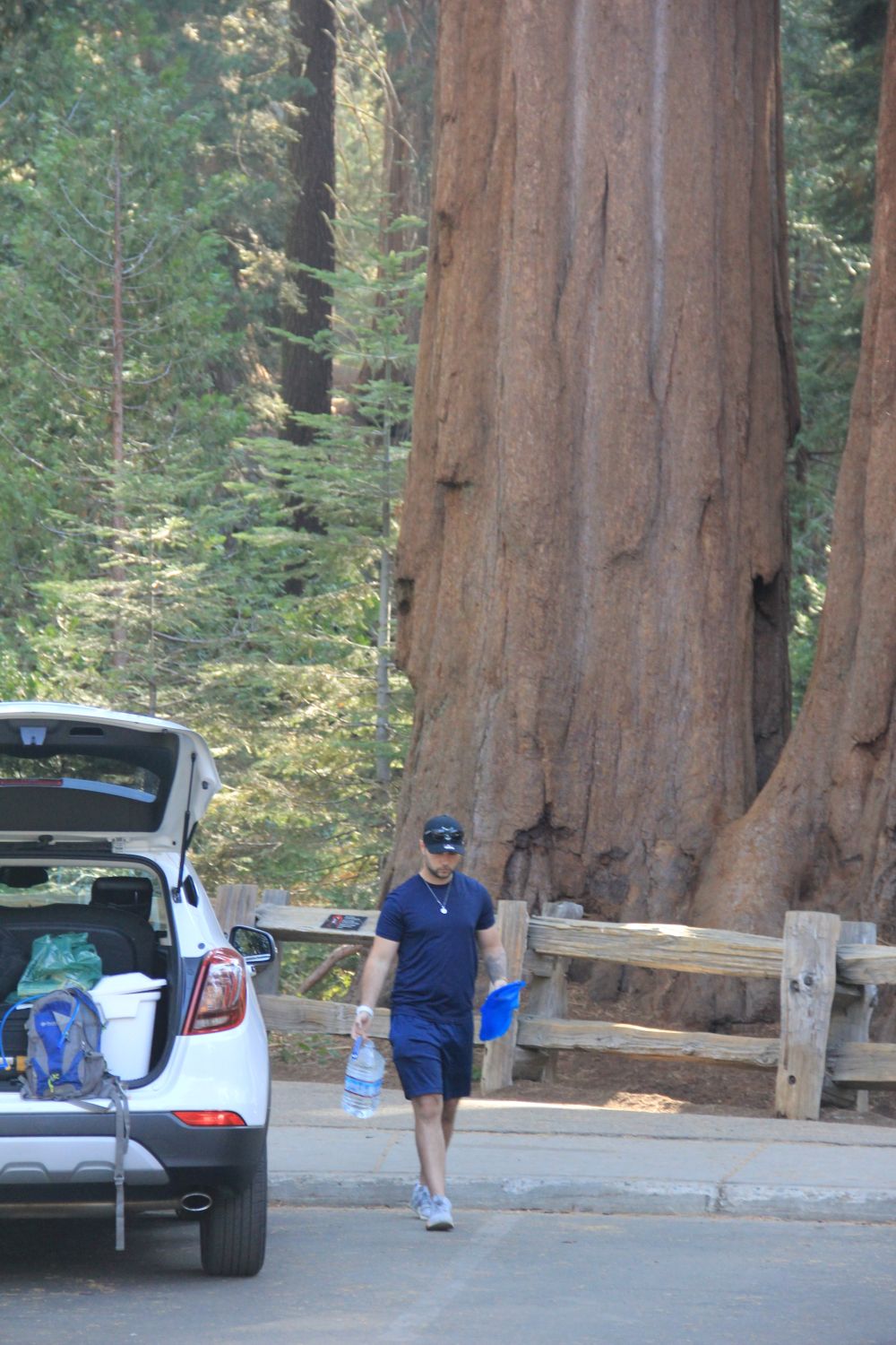 Grant Tree Trail, Boundary Trail and North Grove Trail 